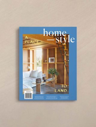 homestyle_new issue